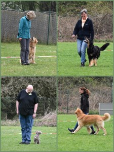 Obedience Prüfung 08.04.2017_2